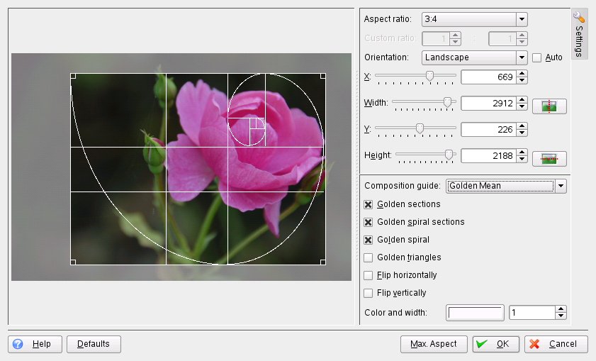 Creating a Custom Crop Using Aspect Ratio Crop