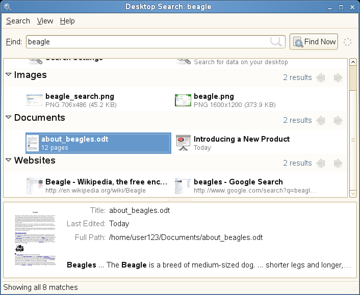 Desktop Search Dialog Box With a File Selected