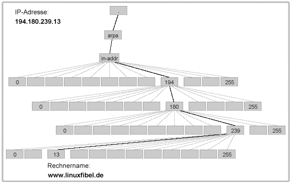 Reverse-Lookup