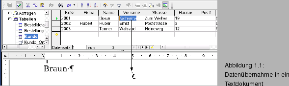 \begin{figure}\spfiglii{0.8}{Bld21_01.eps}{Datenbernahme in ein Textdokument}{_Ref63904230}
\vspace{-11pt}
\end{figure}