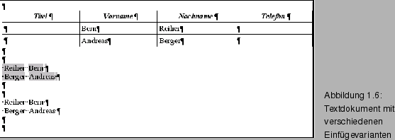 \begin{figure}\spfiglii{0.8}{Bld21_07.eps}{Textdokument mit verschiedenen
Einfgevarianten}{_Ref63915187}
\vspace{-11pt}
\end{figure}