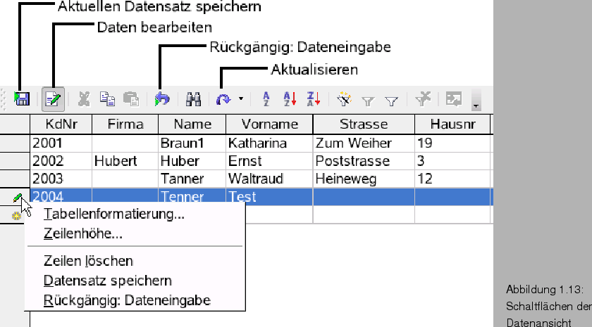 \begin{figure}\htmlimage
\spfiglii{0.78}{Bld20_11.eps}{Schaltflchen der
Datenansicht}{_Ref63481909}
\end{figure}